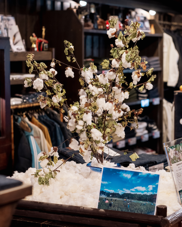 A sample of Samurai’s homegrown organic cotton, taken at the brand’s flagship store in Osaka, Japan. The cotton is hand planted, tended, and harvested in Hyogo Prefecture’s Sasayama City, without the use of pesticides or chemical aids of any kind.